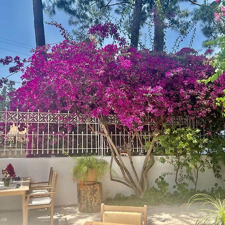 Carikci Hotel Marmaris Eksteriør billede